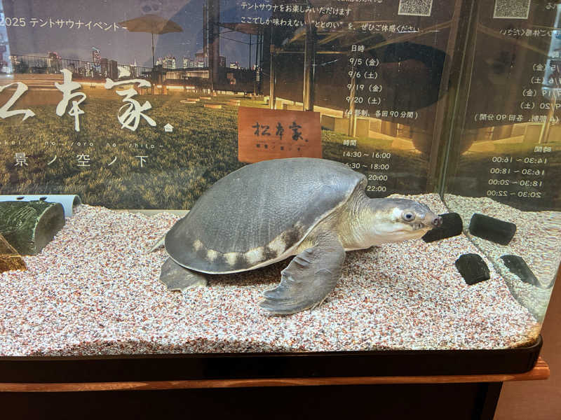 mochaさんの松本湯のサ活写真