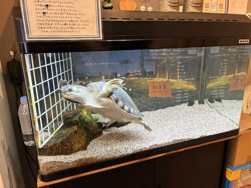 mochaさんの松本湯のサ活写真