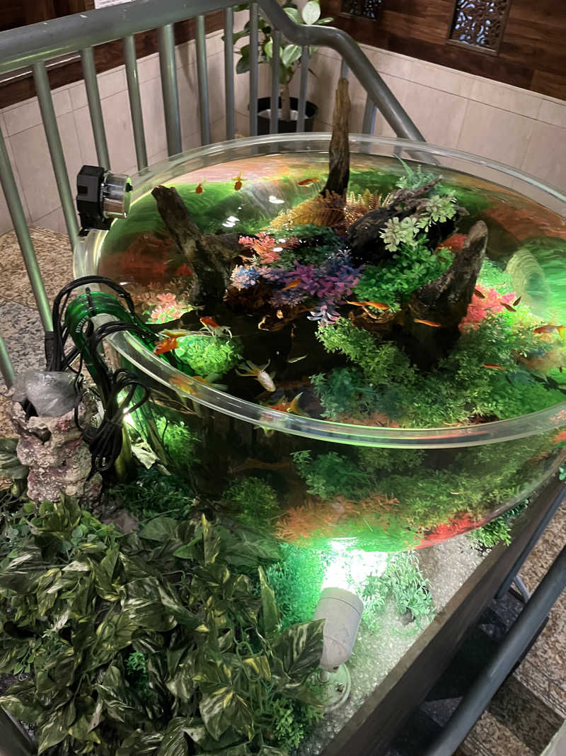 よしかさんのウェルビー福岡のサ活写真