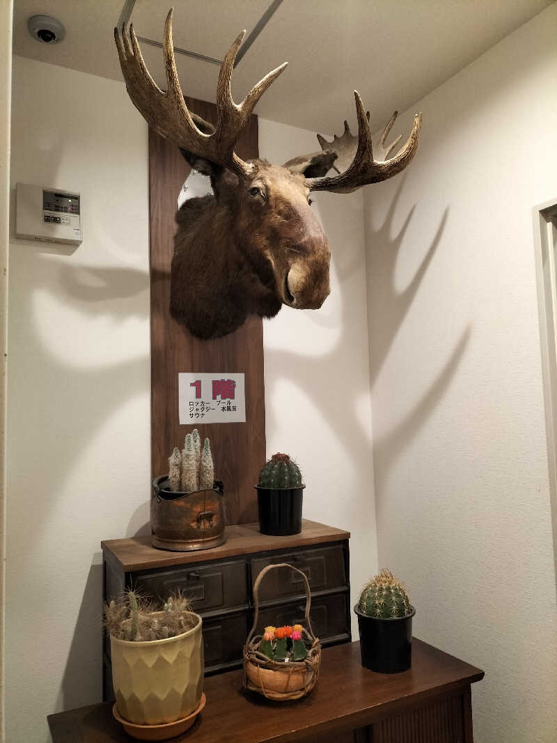 りくさんさんのニュージャパン 梅田店(カプセルイン大阪)のサ活写真