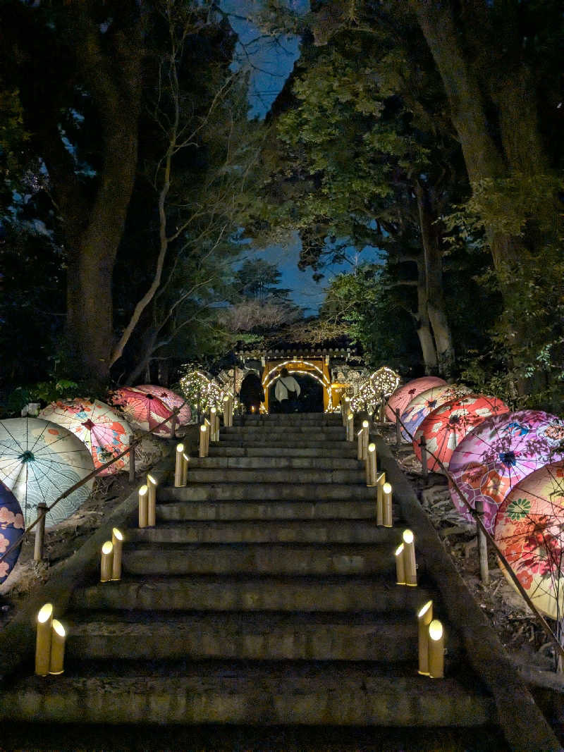 リムトムトさんのよみうりランド眺望温泉 花景の湯のサ活写真