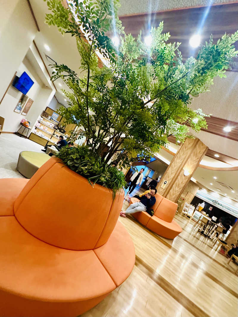 Harrrrruさんの豊田挙母温泉 おいでんの湯のサ活写真