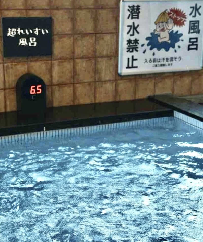 Harrrrruさんの豊田挙母温泉 おいでんの湯のサ活写真