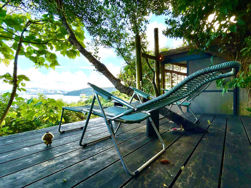 ありりさんのサウナ 森の巣箱のサ活写真