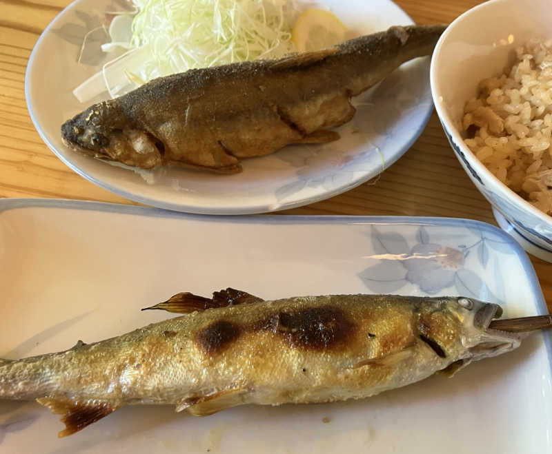 サウナ坊さんの湯どころ みのりのサ活写真