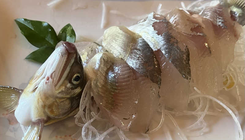 サウナ坊さんの湯どころ みのりのサ活写真