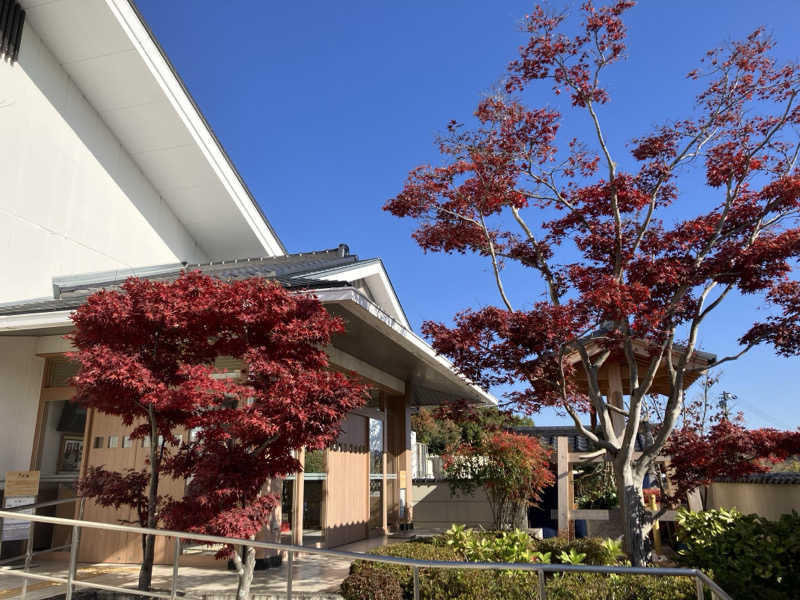 サウナ坊さんの天光の湯のサ活写真