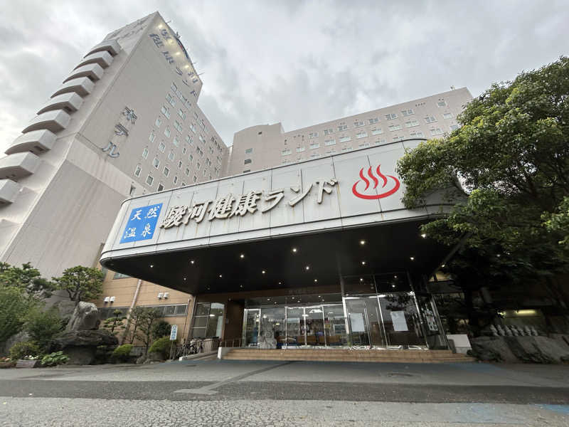 スカサズジョーダンさんの駿河健康ランドのサ活写真