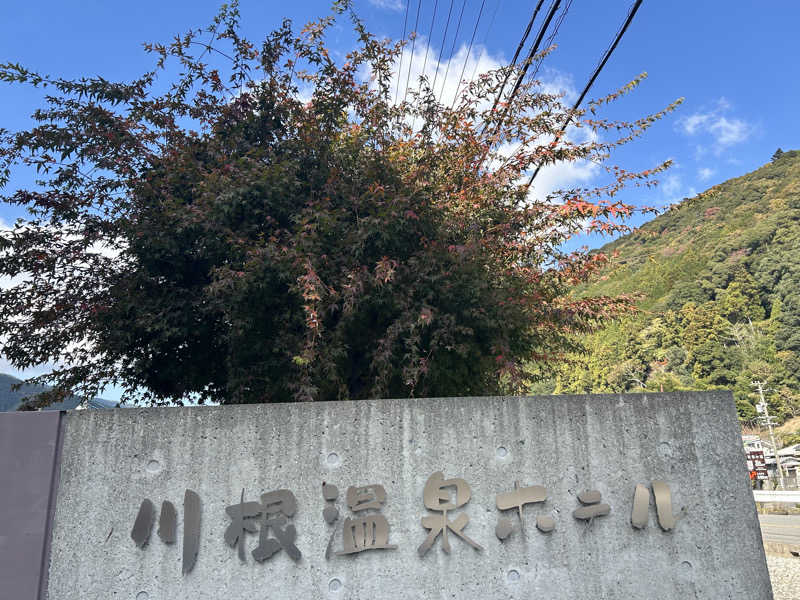 スカサズジョーダンさんの大井川鐵道 川根温泉ホテルのサ活写真