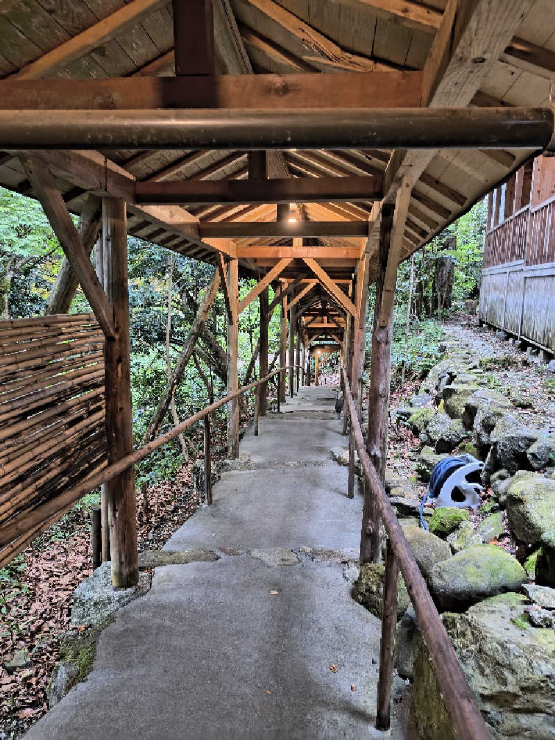 DJさんの花つばきのサ活写真