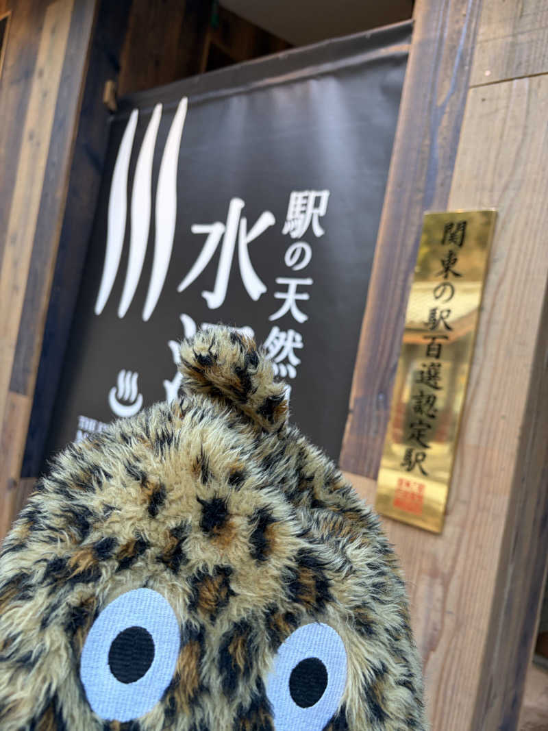 ちょろぼさんの駅の天然温泉 水沼の湯のサ活写真