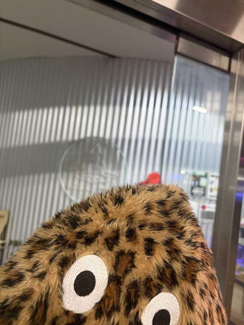 ちょろぼさんのニノサのサ活写真