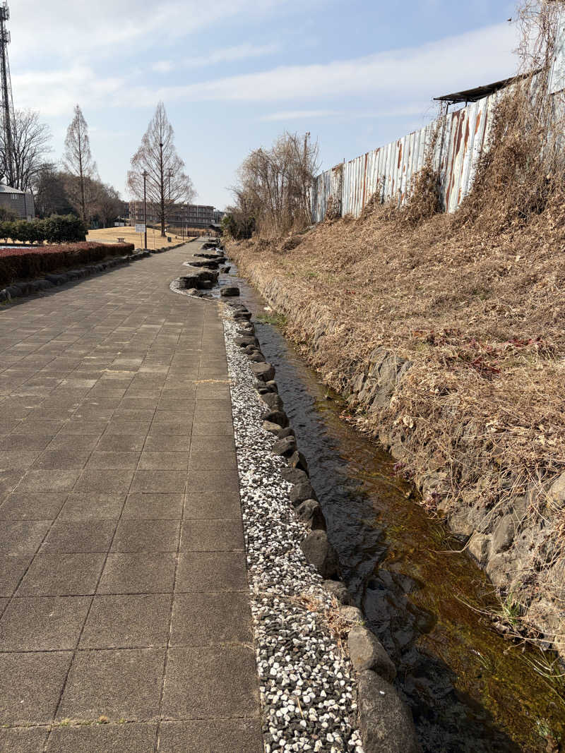 ちょろぼさんの上尾天然温泉 日々喜の湯のサ活写真