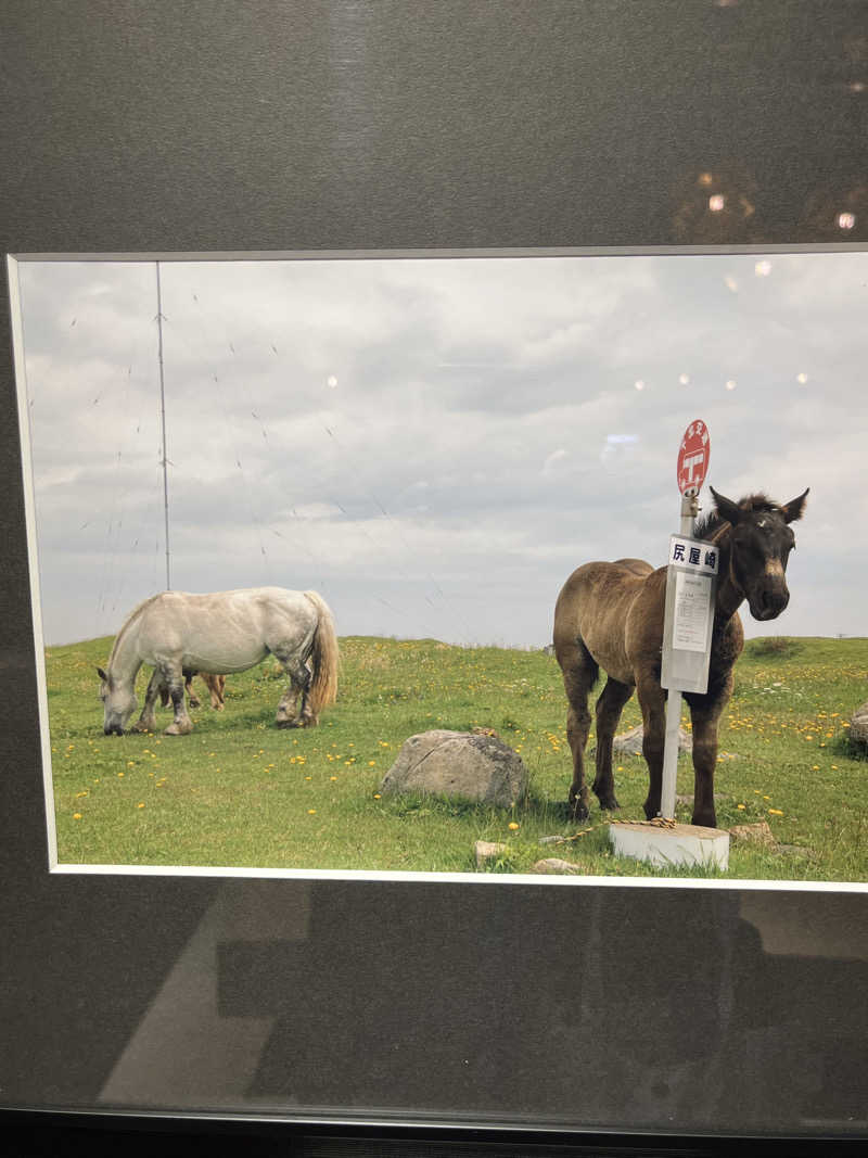 つっちさんのホテルグローバルビュー 八戸のサ活写真