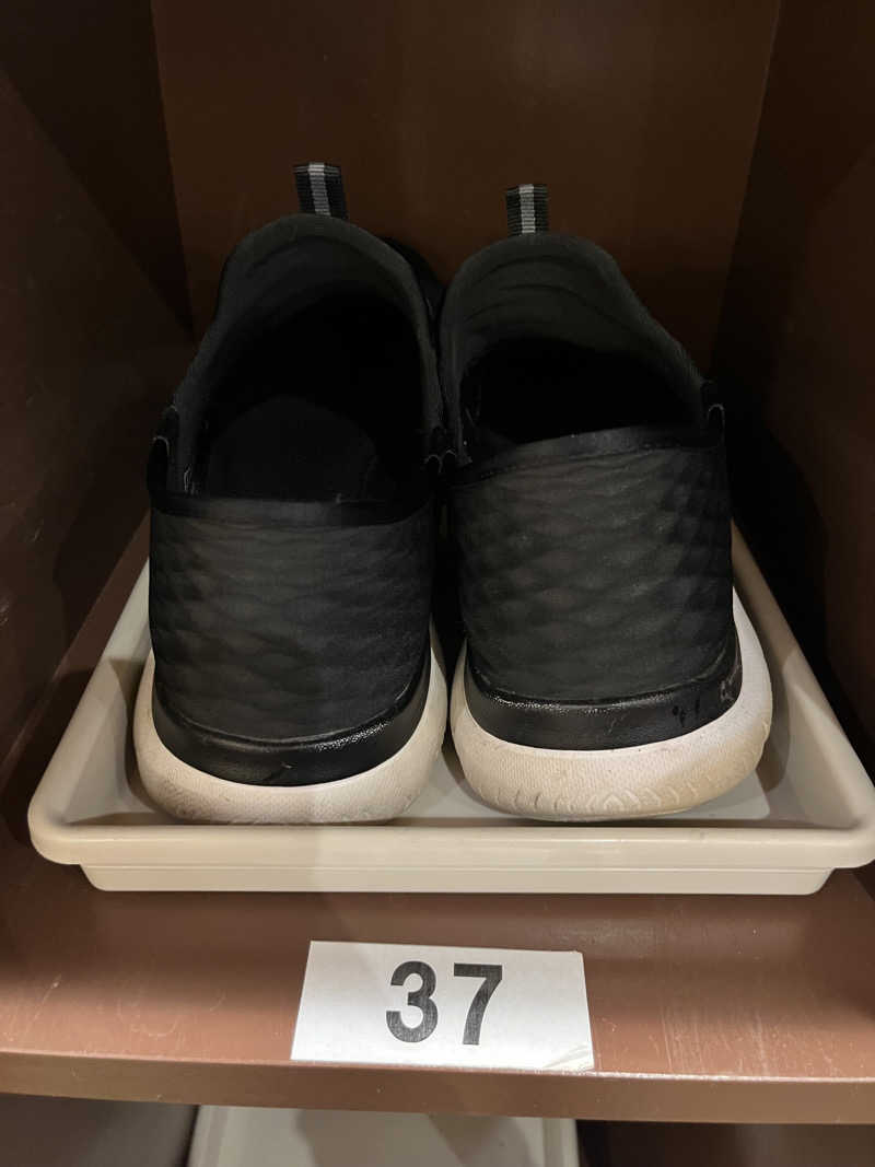 つっちさんの板柳町ふるさとセンター 青柳館 ふるさと温泉のサ活写真