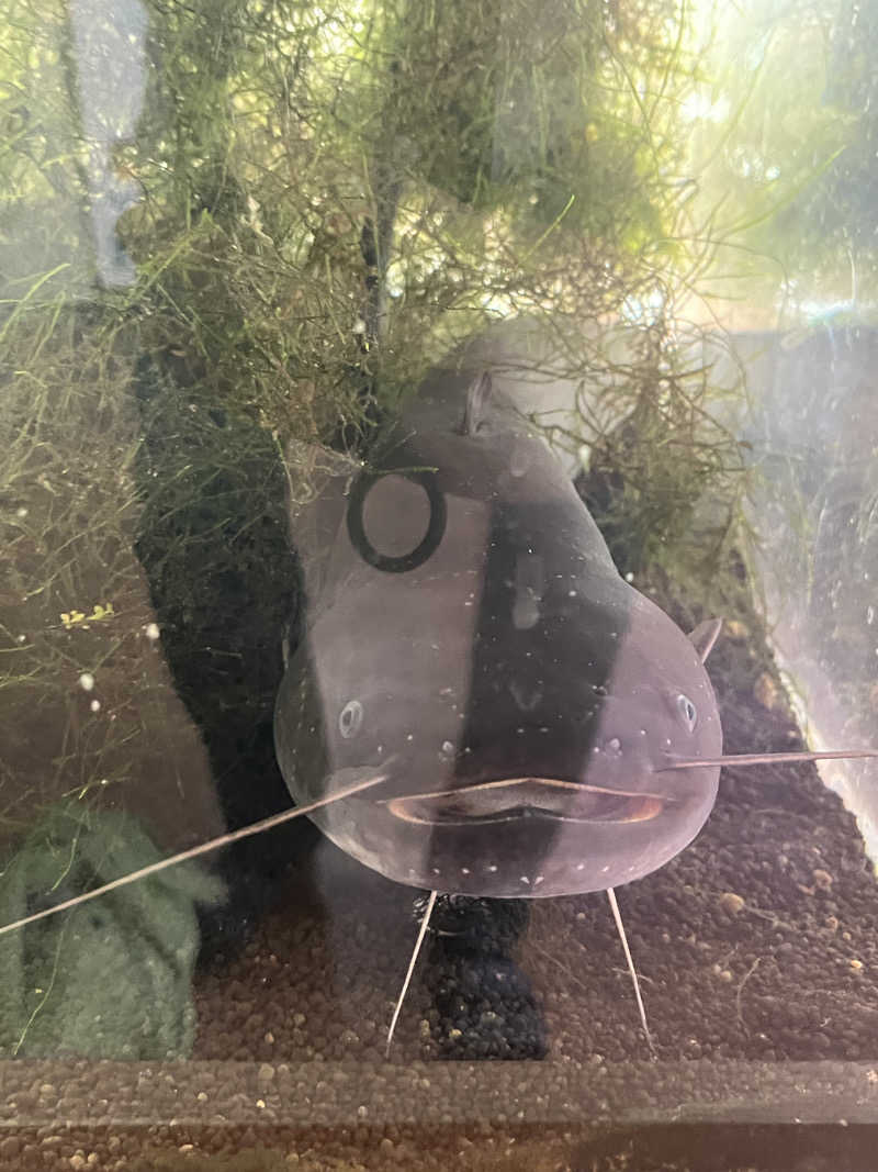 つっちさんのあさひ温泉のサ活写真