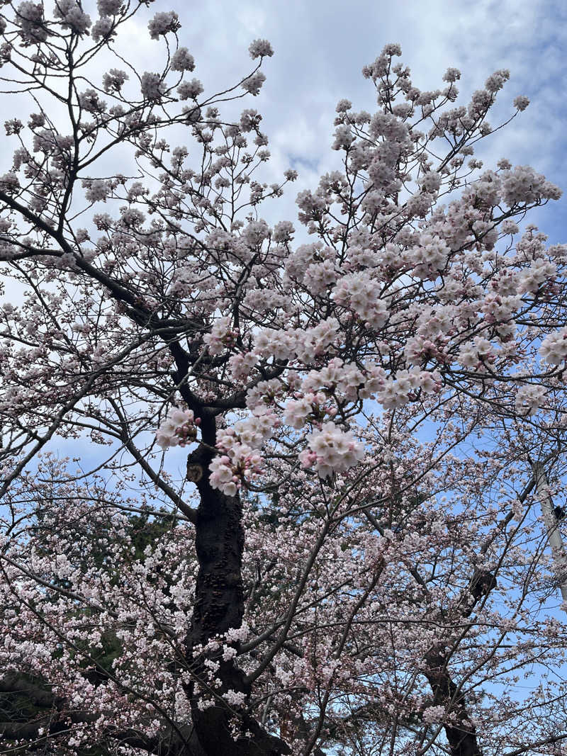 つっちさんのあすなろ温泉のサ活写真