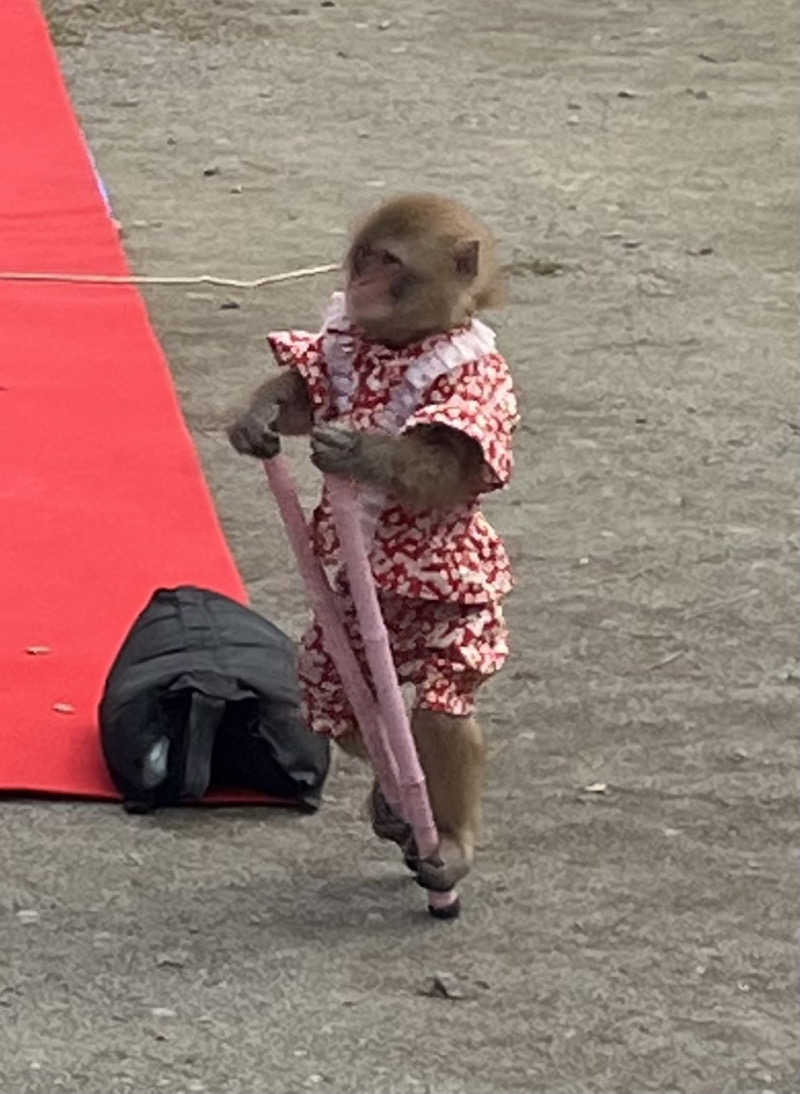 つっちさんのあすなろ温泉のサ活写真