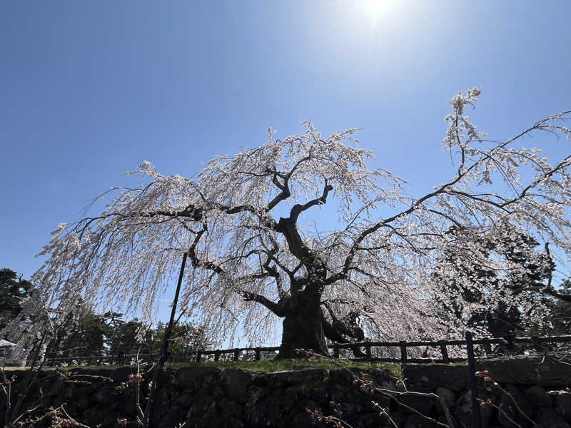 つっちさんの三世寺温泉のサ活写真