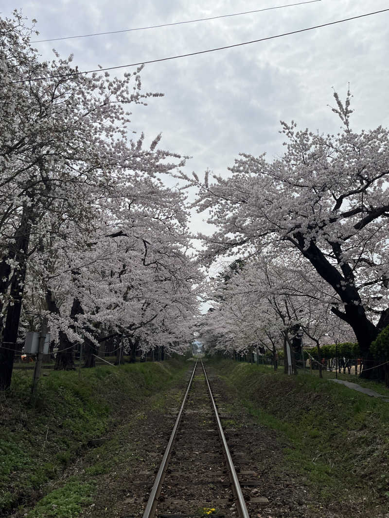 つっちさんのつがる市車力ウェルネスセンター しゃりき温泉のサ活写真