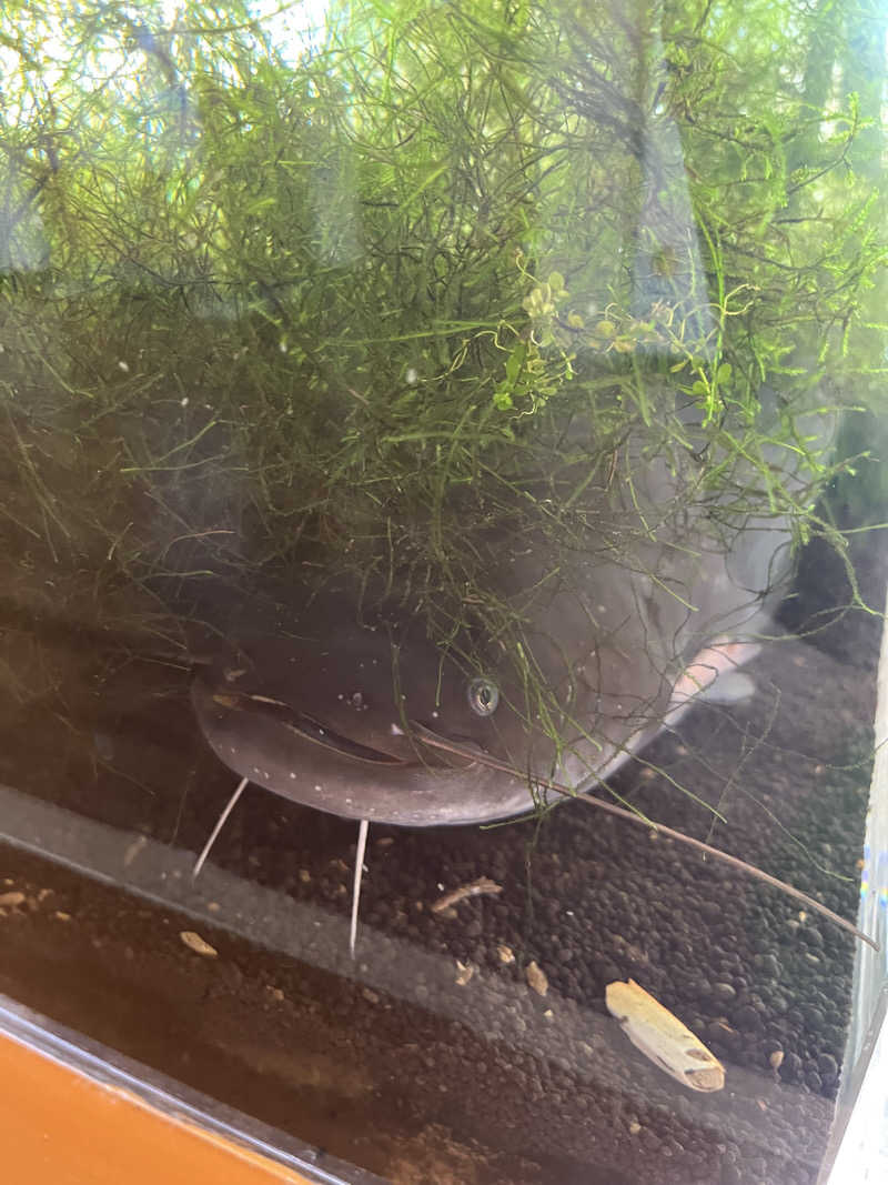 つっちさんのあさひ温泉のサ活写真