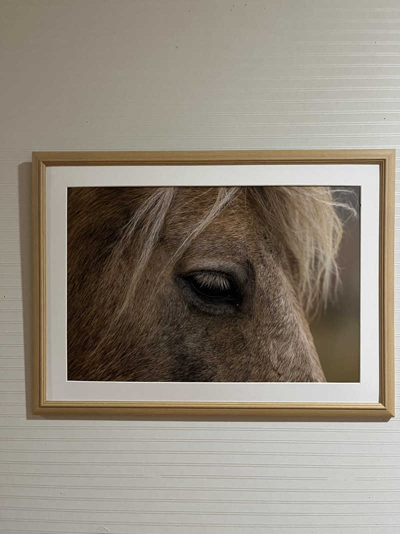 つっちさんのエルムの湯のサ活写真