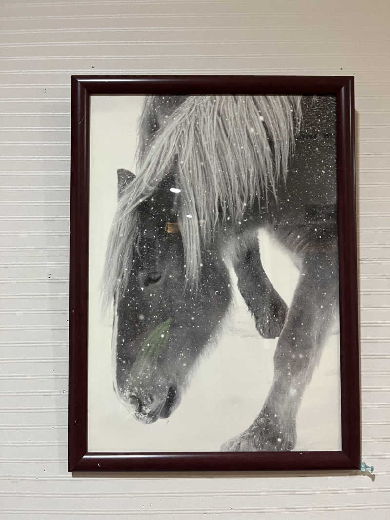 つっちさんのエルムの湯のサ活写真