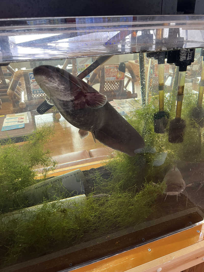 つっちさんのあさひ温泉のサ活写真