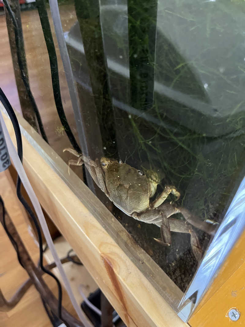 つっちさんのあさひ温泉のサ活写真