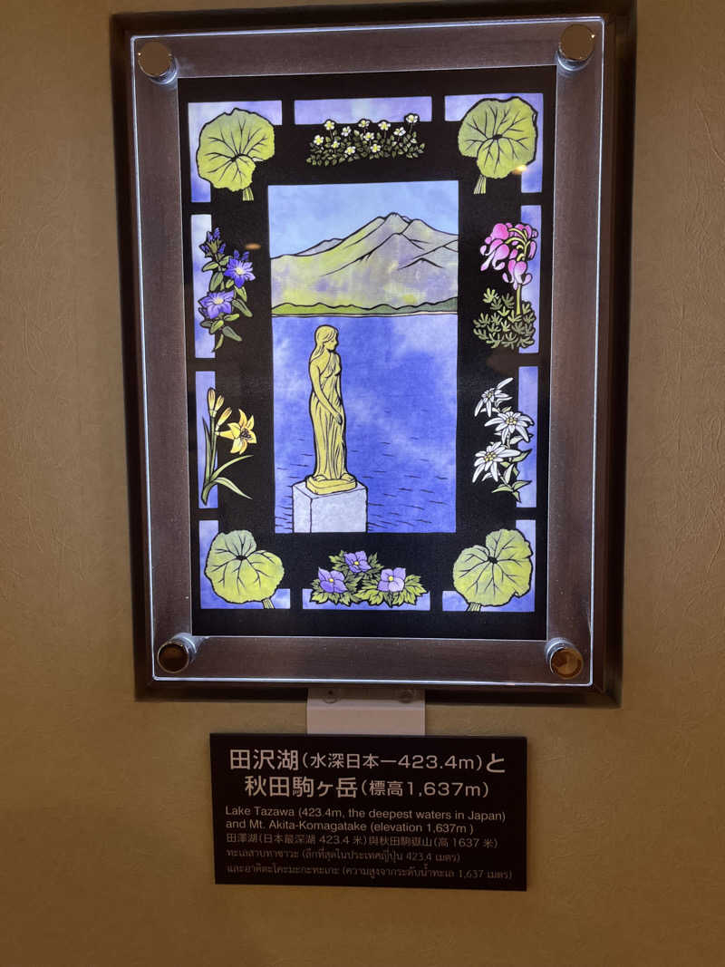 つっちさんの田沢湖水沢温泉郷 セルリアンリゾートAONIのサ活写真