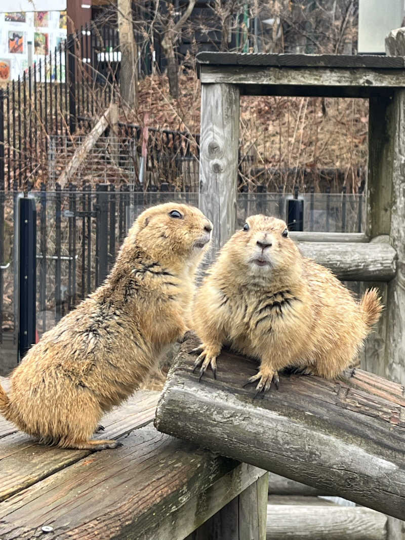 つっちさんの中通温泉こまちの湯 ドーミーイン秋田のサ活写真