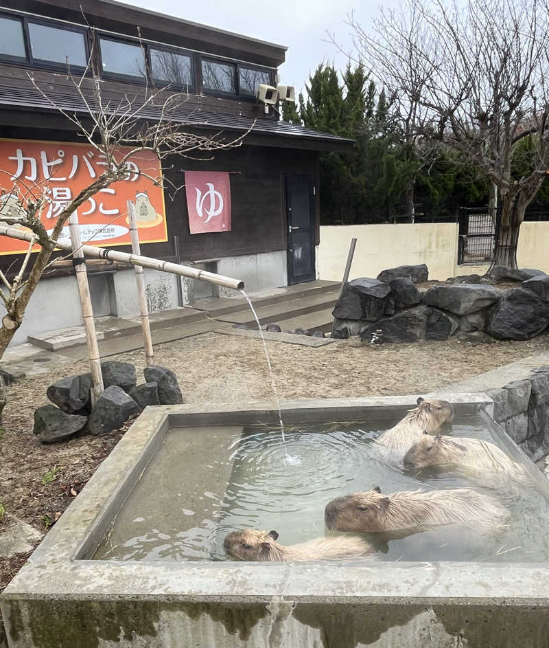 つっちさんの中通温泉こまちの湯 ドーミーイン秋田のサ活写真