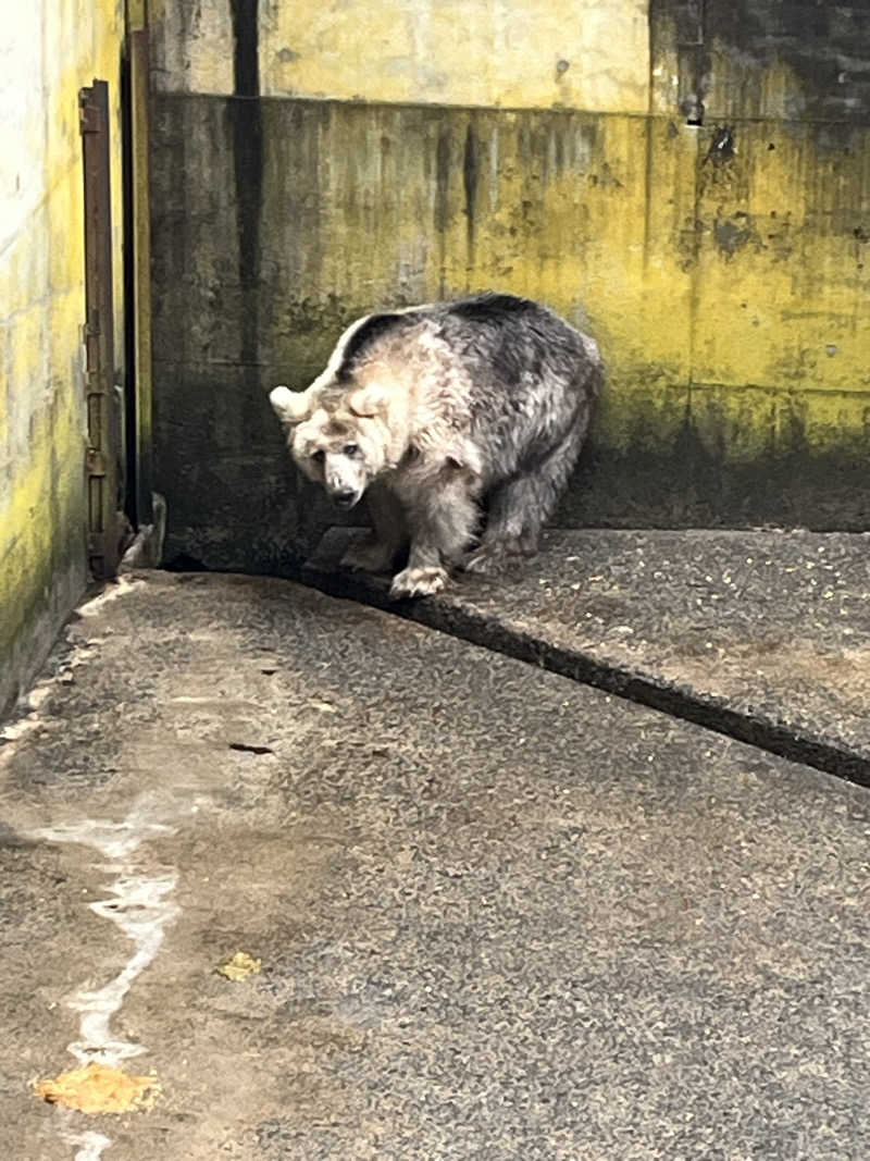 つっちさんの五所川原市健康増進施設 にこにこ温泉しうらのサ活写真