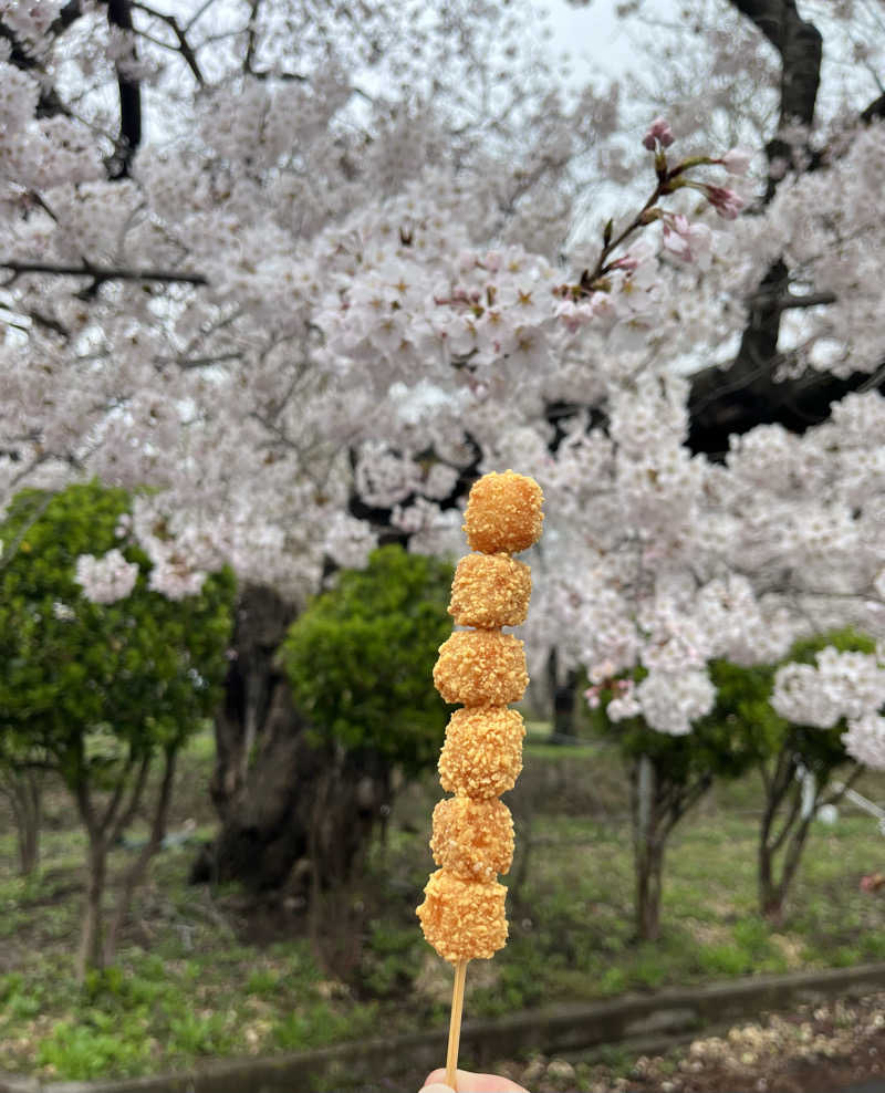 つっちさんの五所川原市健康増進施設 にこにこ温泉しうらのサ活写真