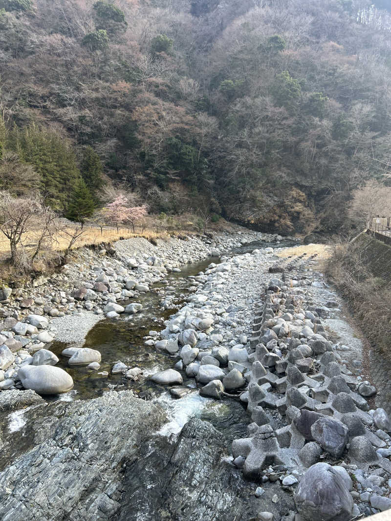 はなたさんのかくれ湯の里 信玄館のサ活写真