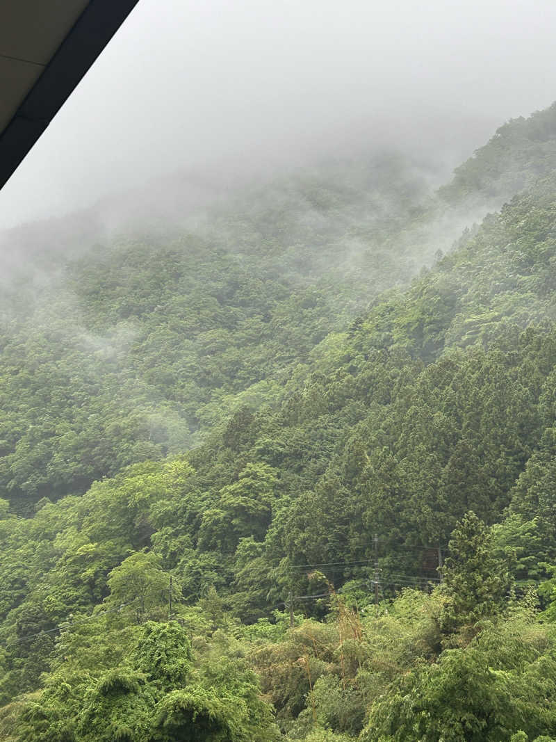 はなたさんの道志川温泉紅椿の湯のサ活写真