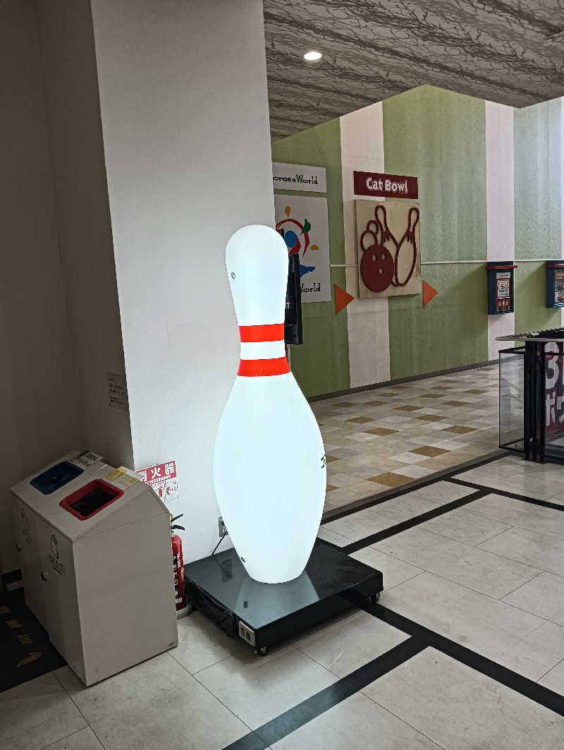 g13さんの天然温泉 コロナの湯 半田店のサ活写真