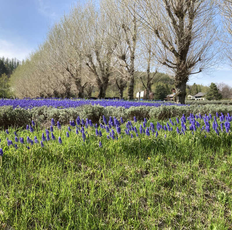 うなぎ犬さんの月見湯のサ活写真