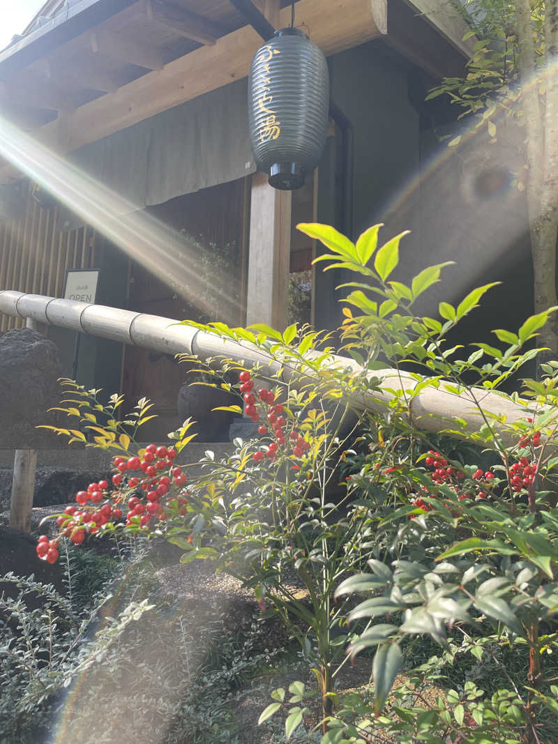 じゅんぼうさんのふきさらし湯のサ活写真