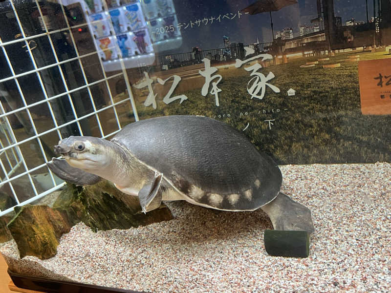 Mちゃんさんの松本湯のサ活写真