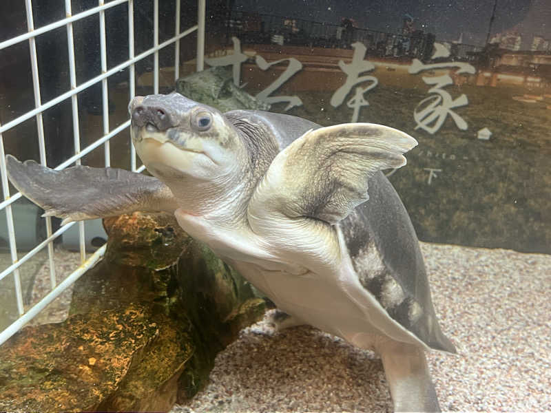 Mちゃんさんの松本湯のサ活写真