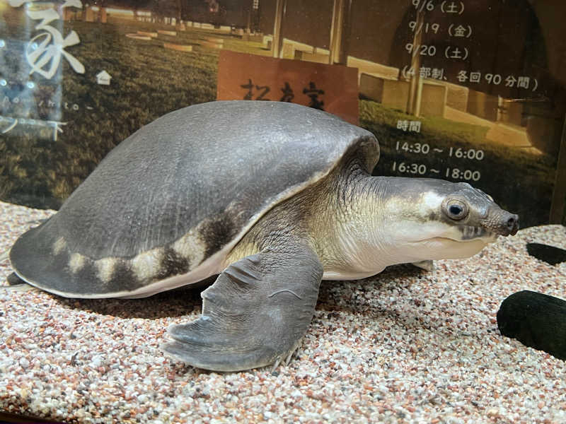 Mちゃんさんの松本湯のサ活写真