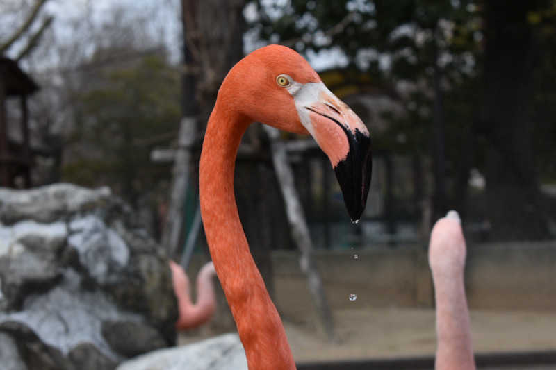 maisaunaさんの湯の坂 久留米温泉のサ活写真