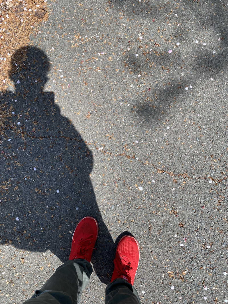 maisaunaさんの大谷の湯のサ活写真