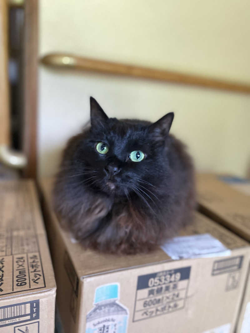 maisaunaさんの天草市 栖本温泉センター河童ロマン館のサ活写真