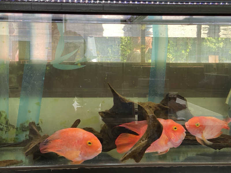 maisaunaさんのスパ・タラソ天草のサ活写真