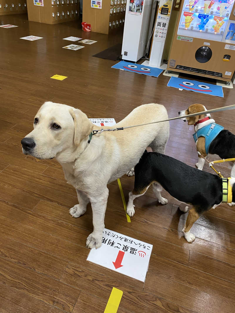 maisaunaさんのつる乃湯熊本インター店のサ活写真