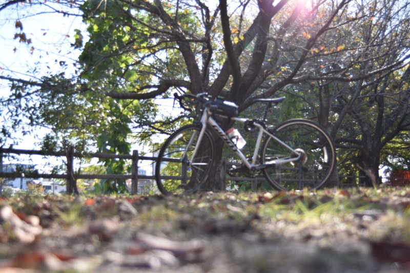 maisaunaさんのサウナと天然温泉 湯らっくすのサ活写真