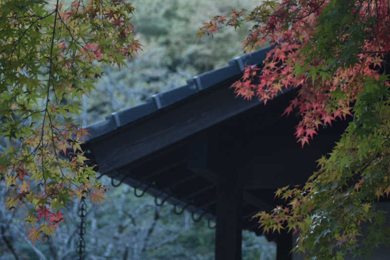 maisaunaさんのサウナと天然温泉 湯らっくすのサ活写真