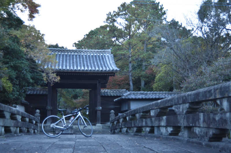 maisaunaさんのサウナと天然温泉 湯らっくすのサ活写真